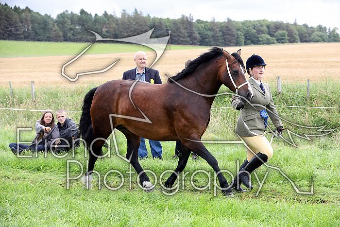 Carnwath2025Ring1152