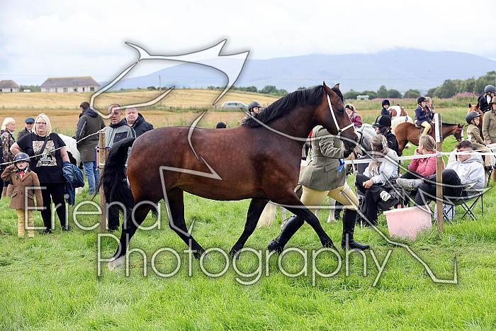 Carnwath2025Ring1155