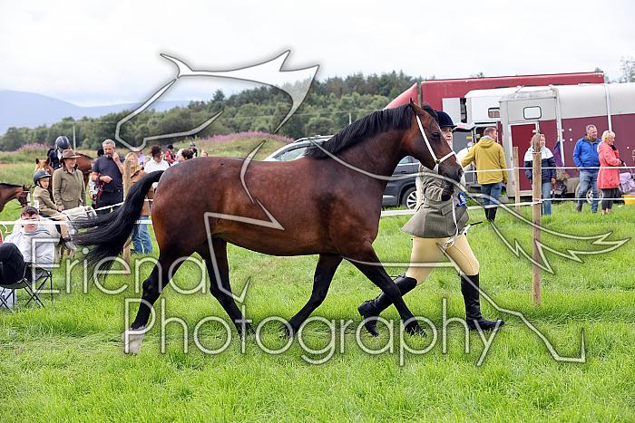 Carnwath2025Ring1157