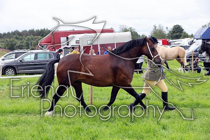 Carnwath2025Ring1158