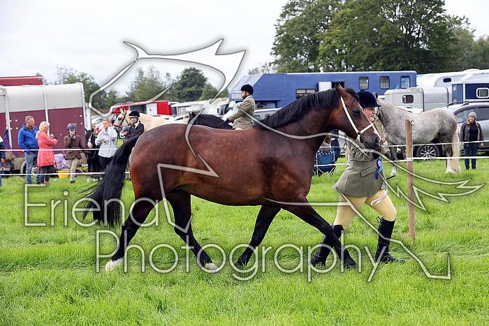 Carnwath2025Ring1159