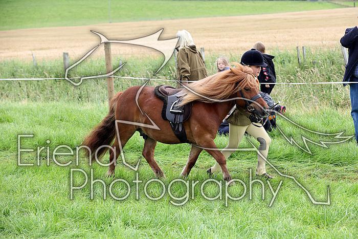 Carnwath2025Ring1161