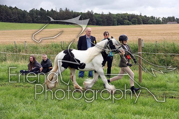Carnwath2025Ring1166