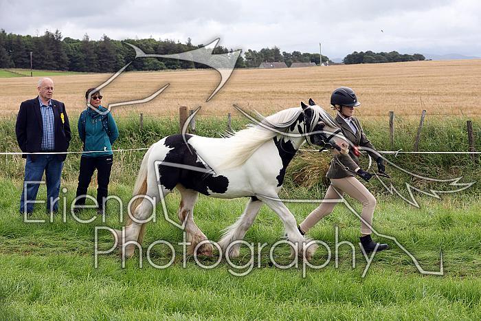 Carnwath2025Ring1167