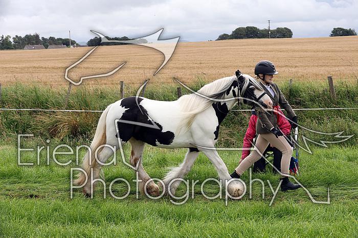 Carnwath2025Ring1168
