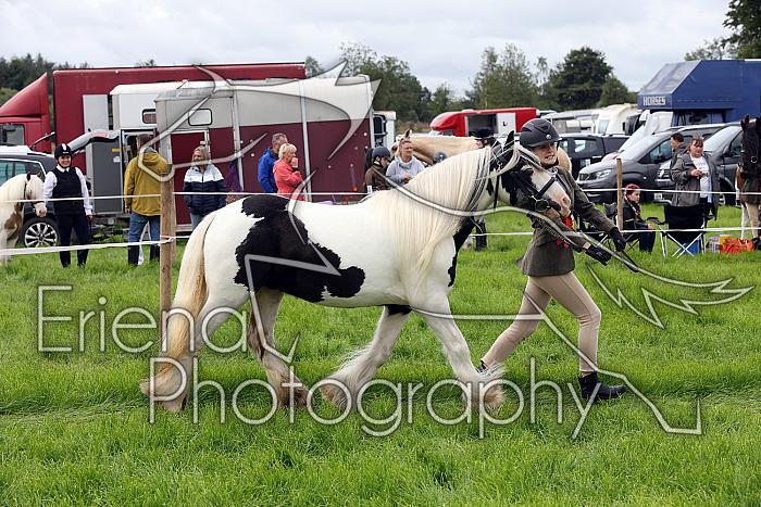 Carnwath2025Ring1175