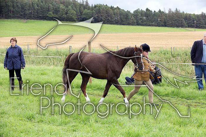 Carnwath2025Ring1176