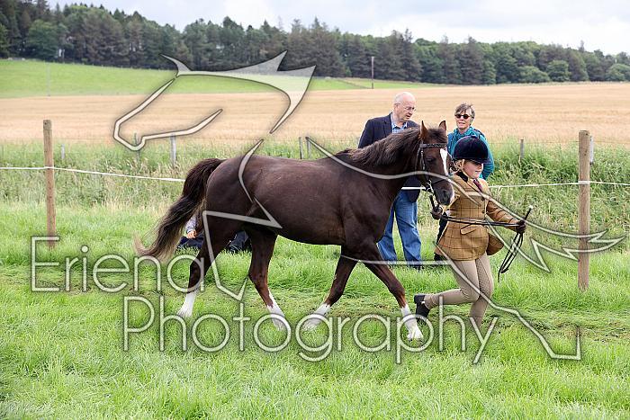 Carnwath2025Ring1177