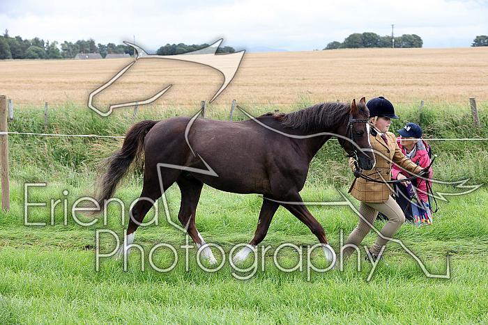 Carnwath2025Ring1179