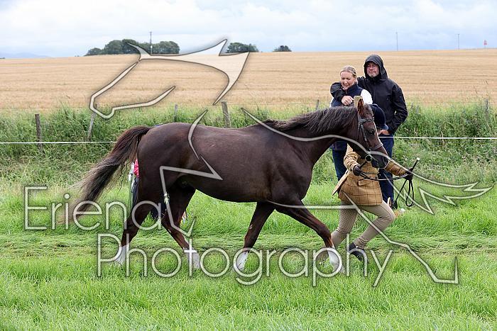 Carnwath2025Ring1180