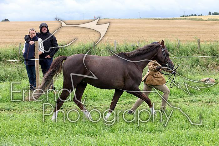 Carnwath2025Ring1181