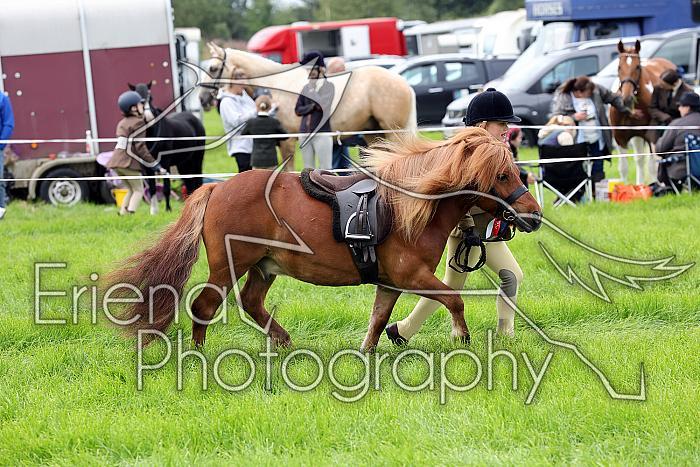 Carnwath2025Ring1191