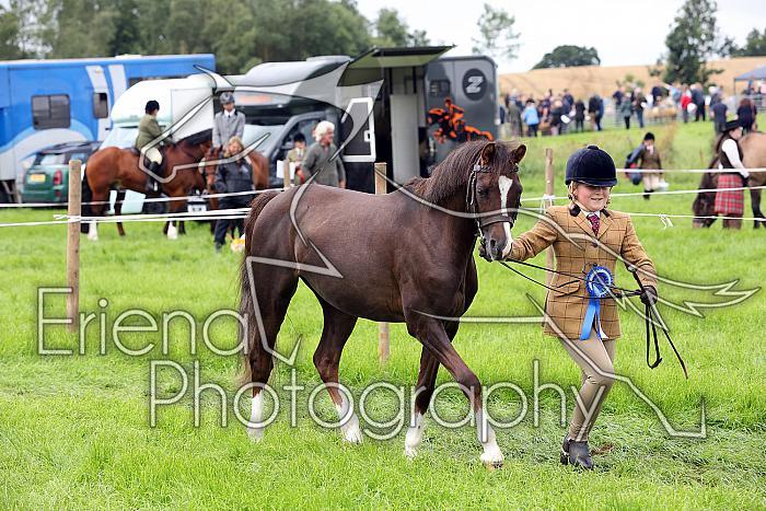 Carnwath2025Ring1194