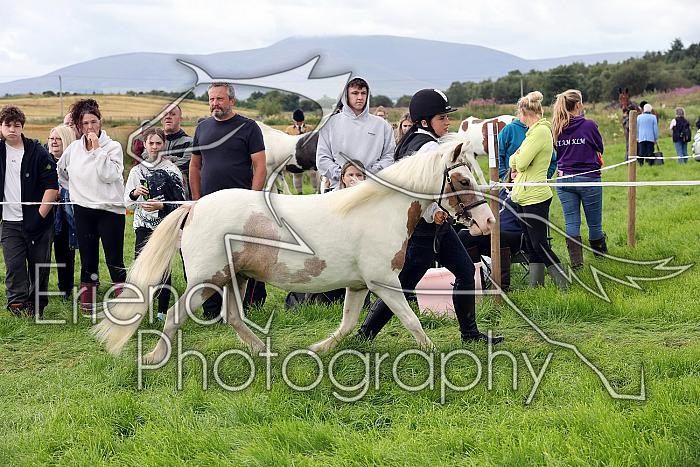Carnwath2025Ring1230