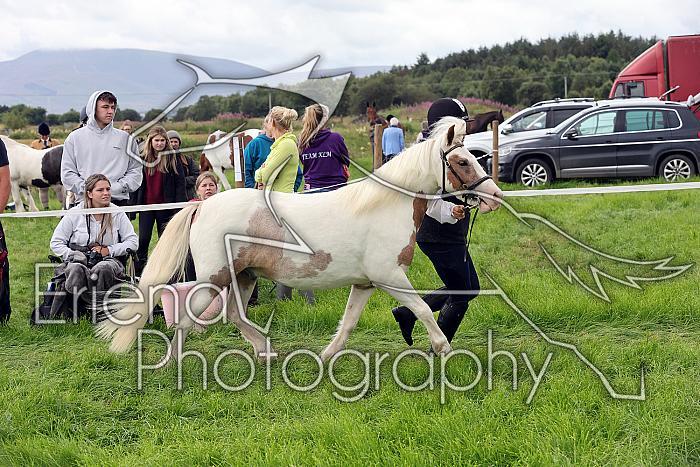 Carnwath2025Ring1231