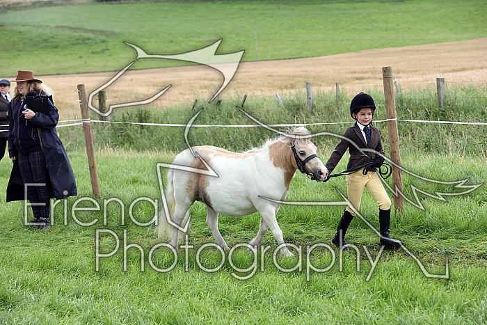 Carnwath2025Ring1233