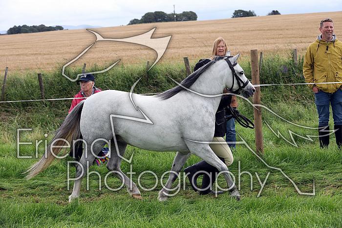 Carnwath2025Ring1240
