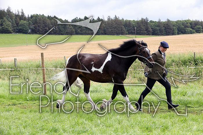 Carnwath2025Ring1274