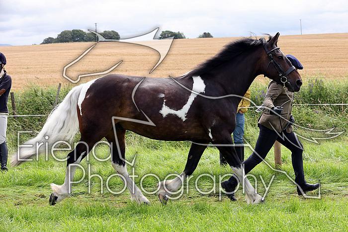 Carnwath2025Ring1277