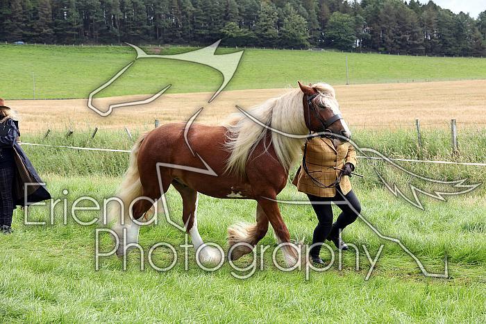 Carnwath2025Ring1283