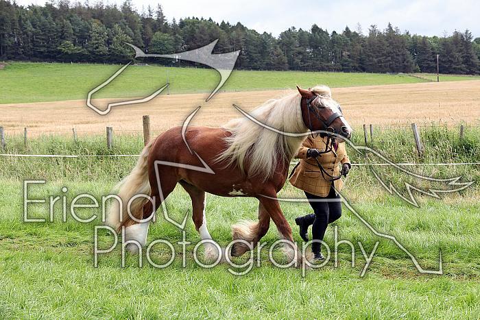 Carnwath2025Ring1284