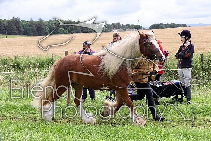 Carnwath2025Ring1285