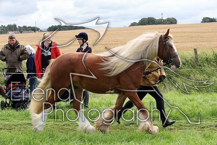 Carnwath2025Ring1286