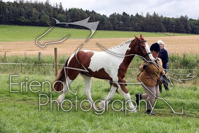 Carnwath2025Ring1287