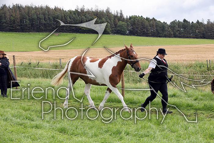 Carnwath2025Ring1291
