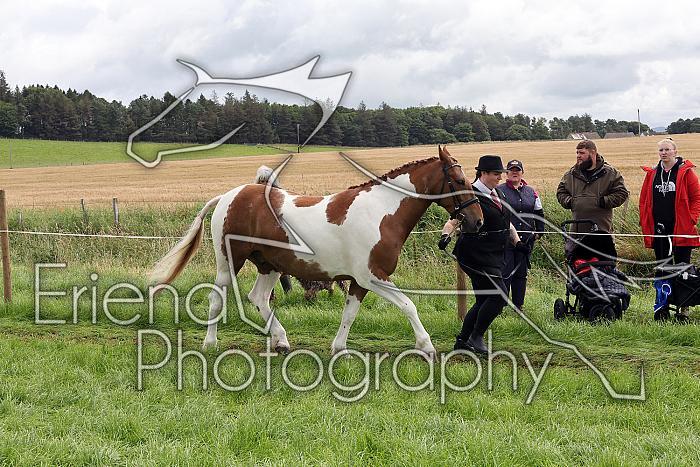 Carnwath2025Ring1293