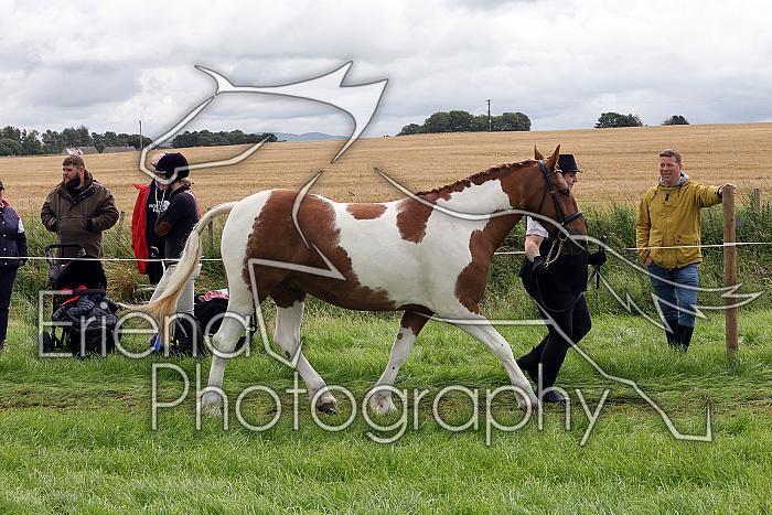 Carnwath2025Ring1294