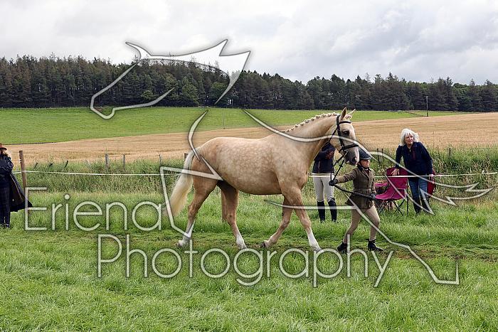Carnwath2025Ring1295