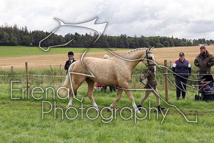 Carnwath2025Ring1296