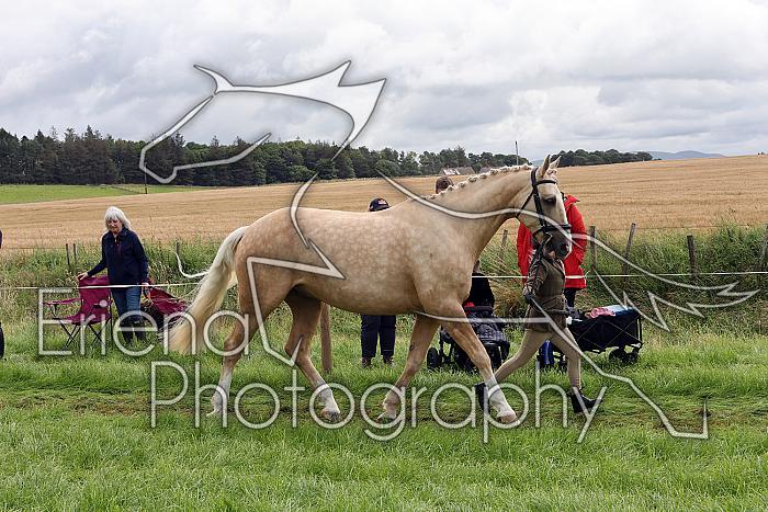 Carnwath2025Ring1297