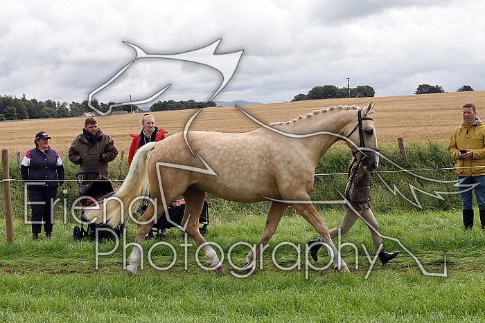 Carnwath2025Ring1298