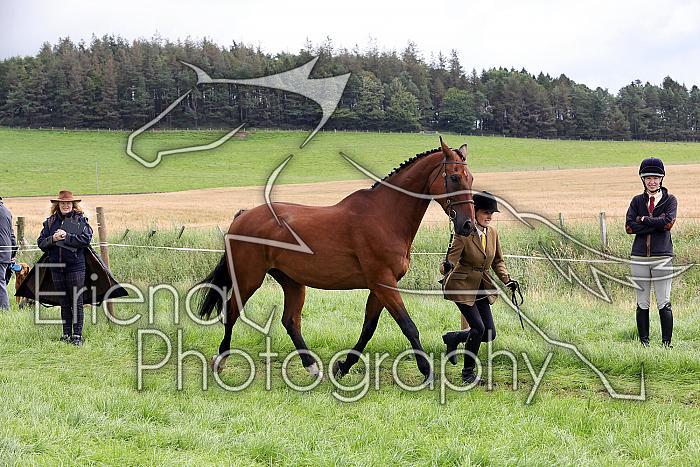 Carnwath2025Ring1299