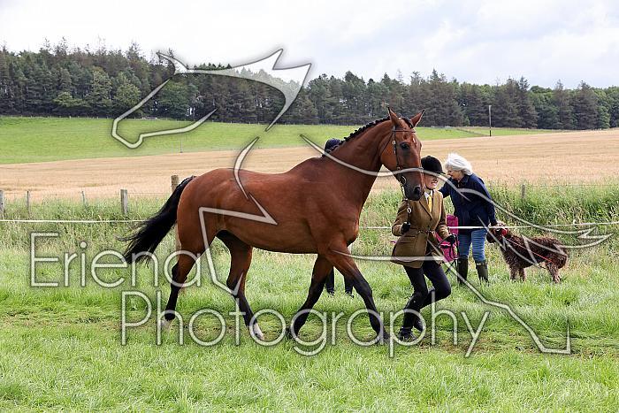 Carnwath2025Ring1300
