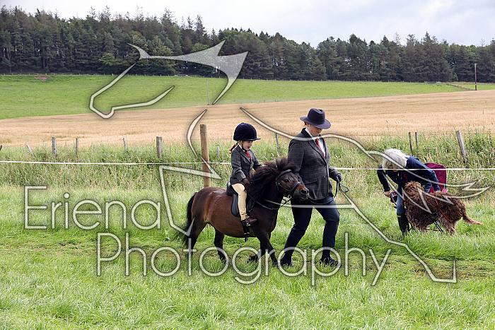 Carnwath2025Ring1303