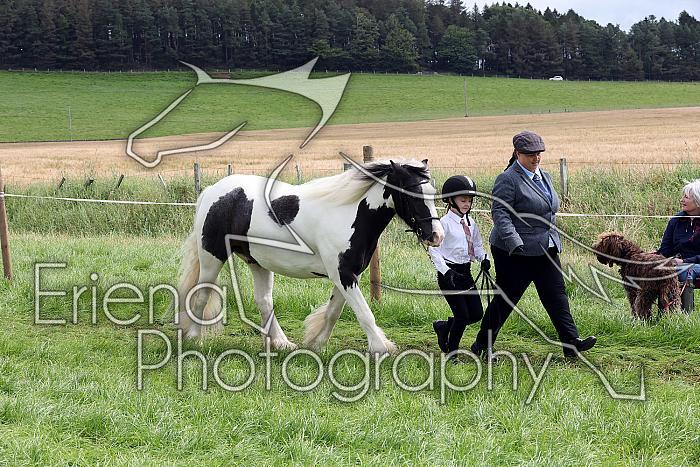 Carnwath2025Ring1305