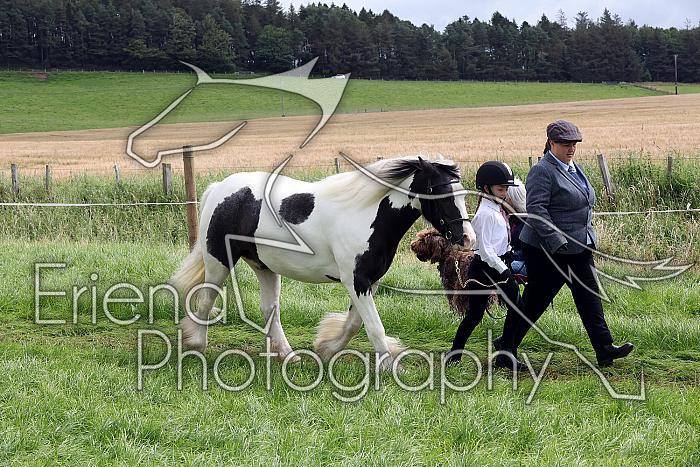 Carnwath2025Ring1306