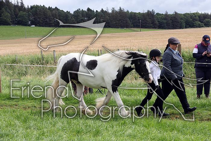 Carnwath2025Ring1307