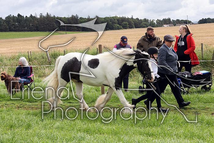 Carnwath2025Ring1308