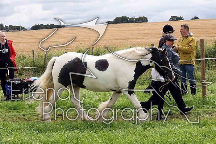 Carnwath2025Ring1310