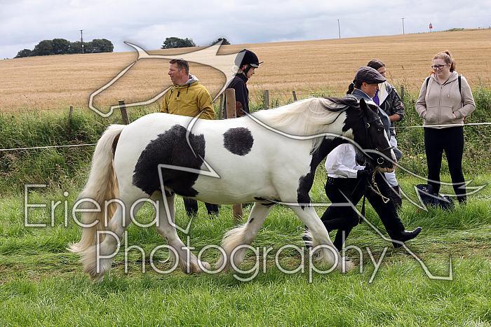 Carnwath2025Ring1311