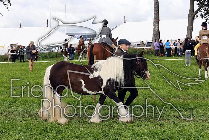 Carnwath2025Ring1313