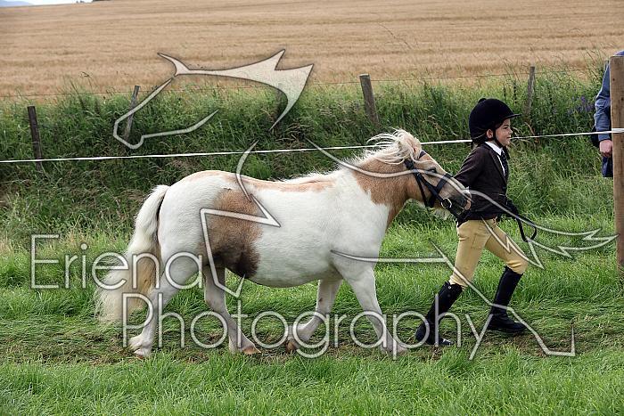 Carnwath2025Ring1343