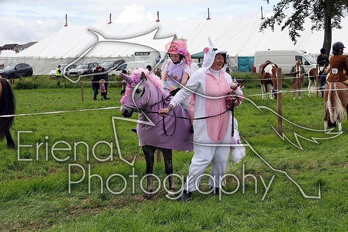 Carnwath2025Ring1404