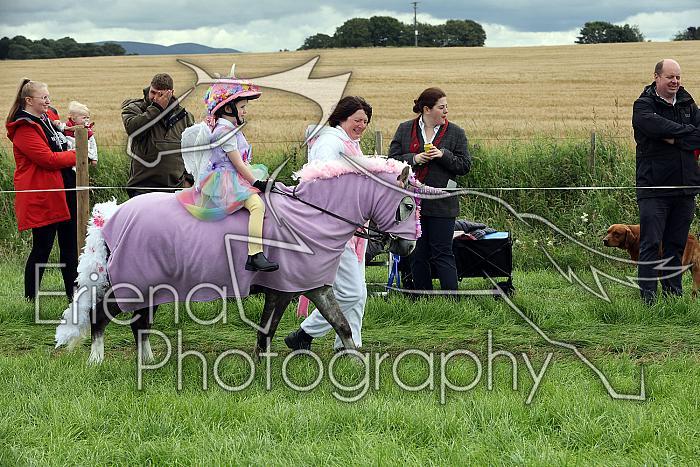 Carnwath2025Ring1411