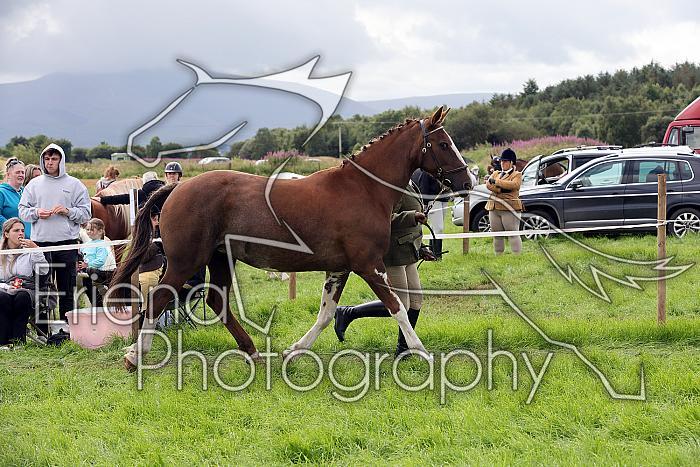 Carnwath2025Ring1413