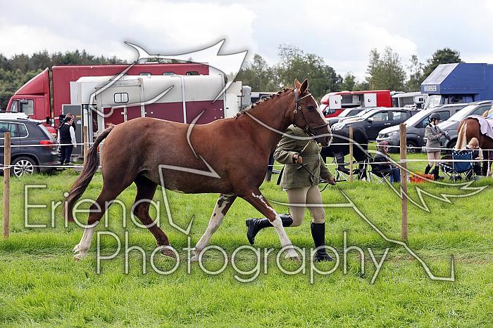 Carnwath2025Ring1415